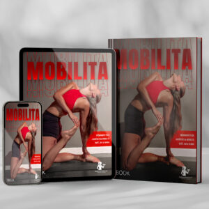 E-book: Mobilita